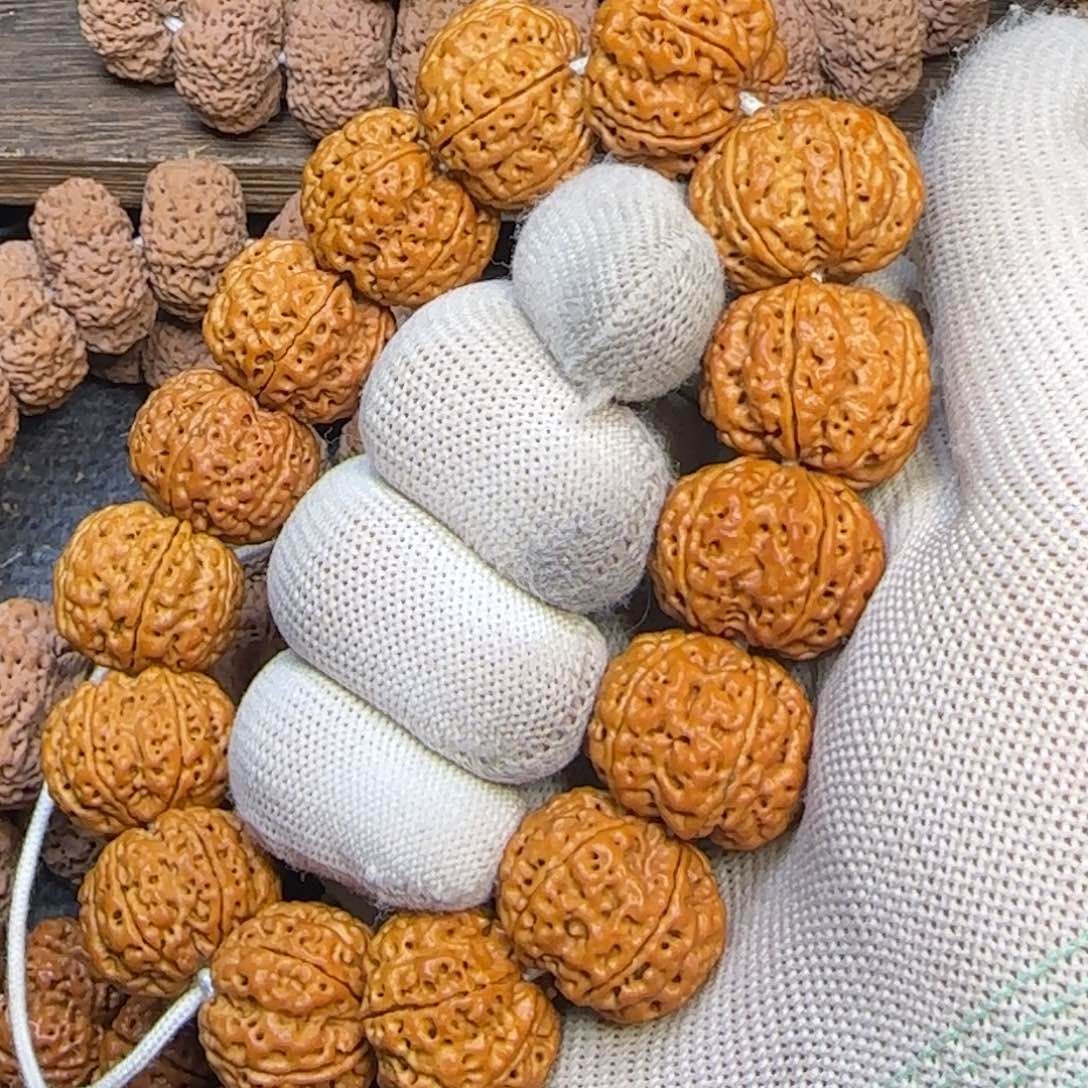 菩提幸***远金刚菩提23毕业级6瓣