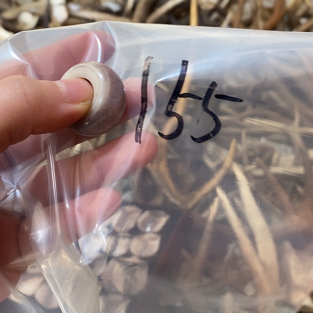 用***6非金属鹿角鹿角鹿角