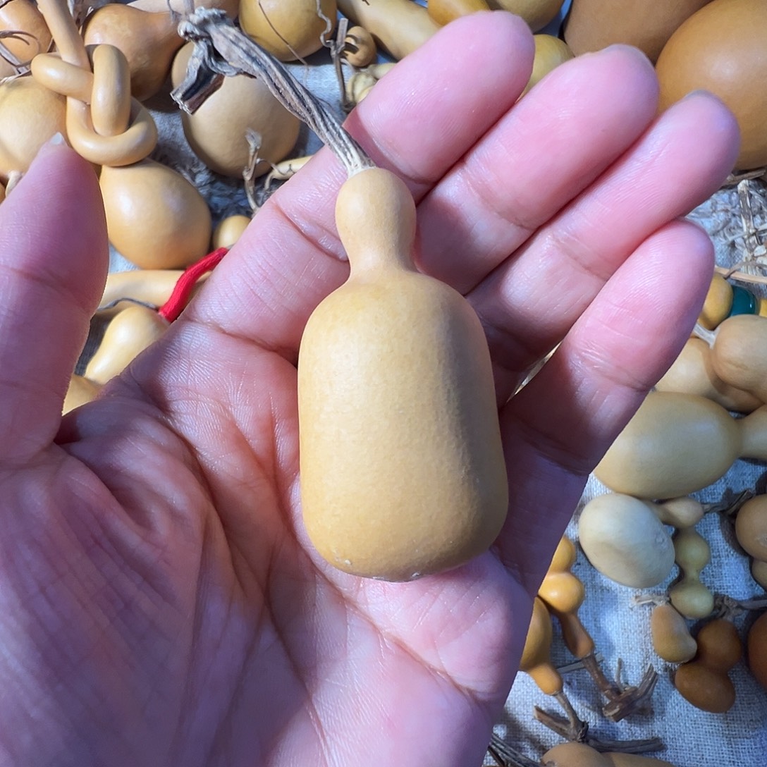 漂亮漂亮漂亮漂亮漂亮