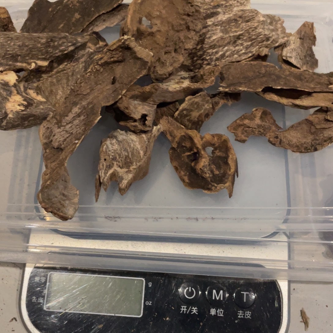 优***）沉香沉香枕海南黎母山壳子35g