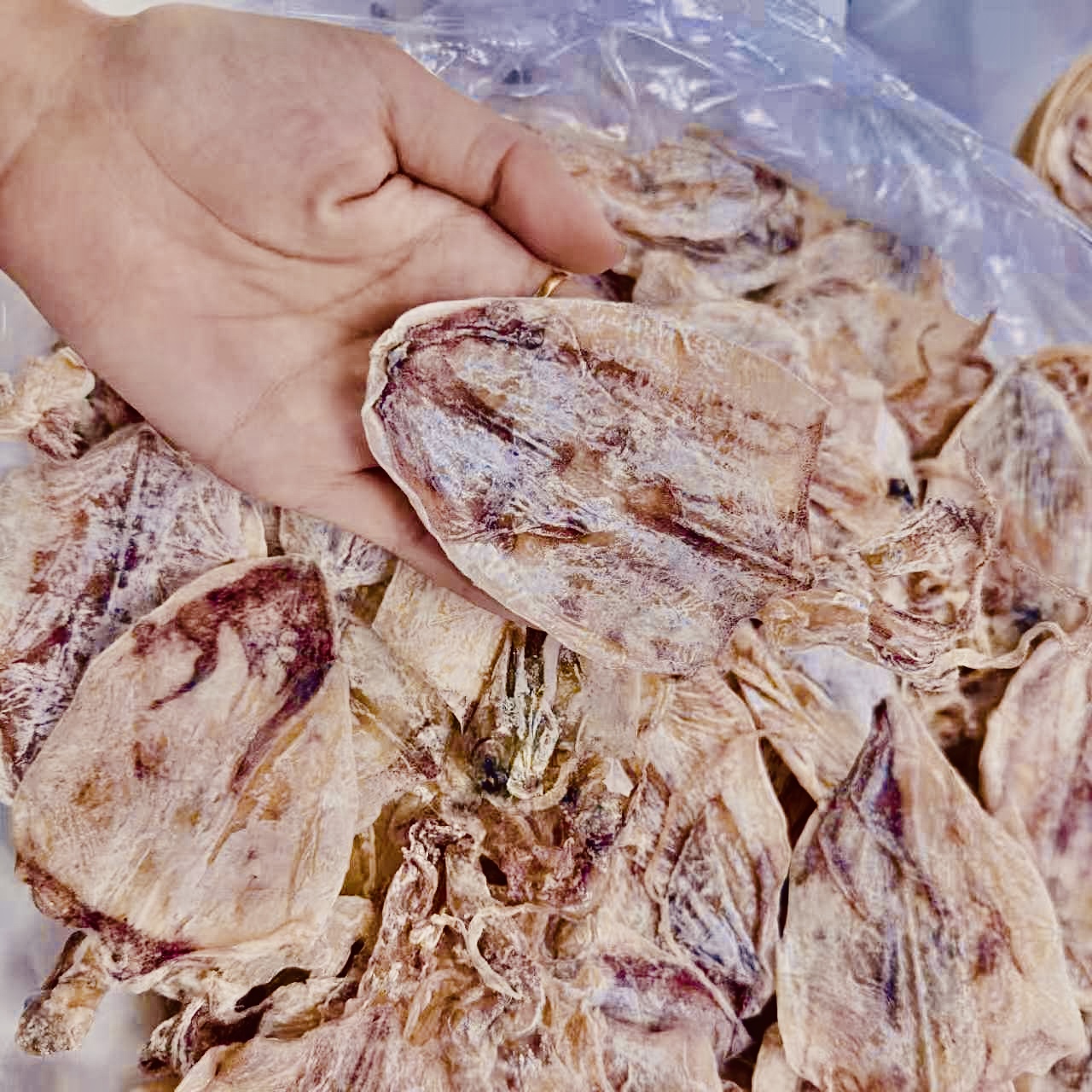 鱿鱼干烧烤煎炸煮手撕淡干A4半斤/1斤装北海碳烤大小尤鱼干货阿芳