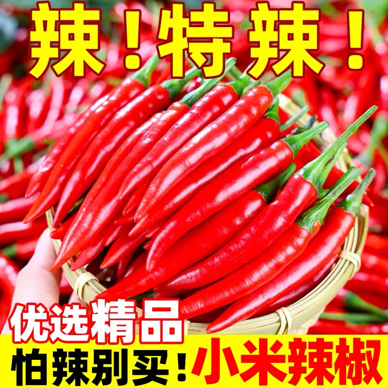 现摘小米辣当季朝天椒新鲜小米椒剁泡椒特辣红辣椒蔬菜指天椒5斤