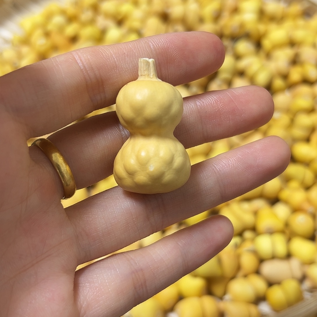 d***a葫芦打孔不退不换