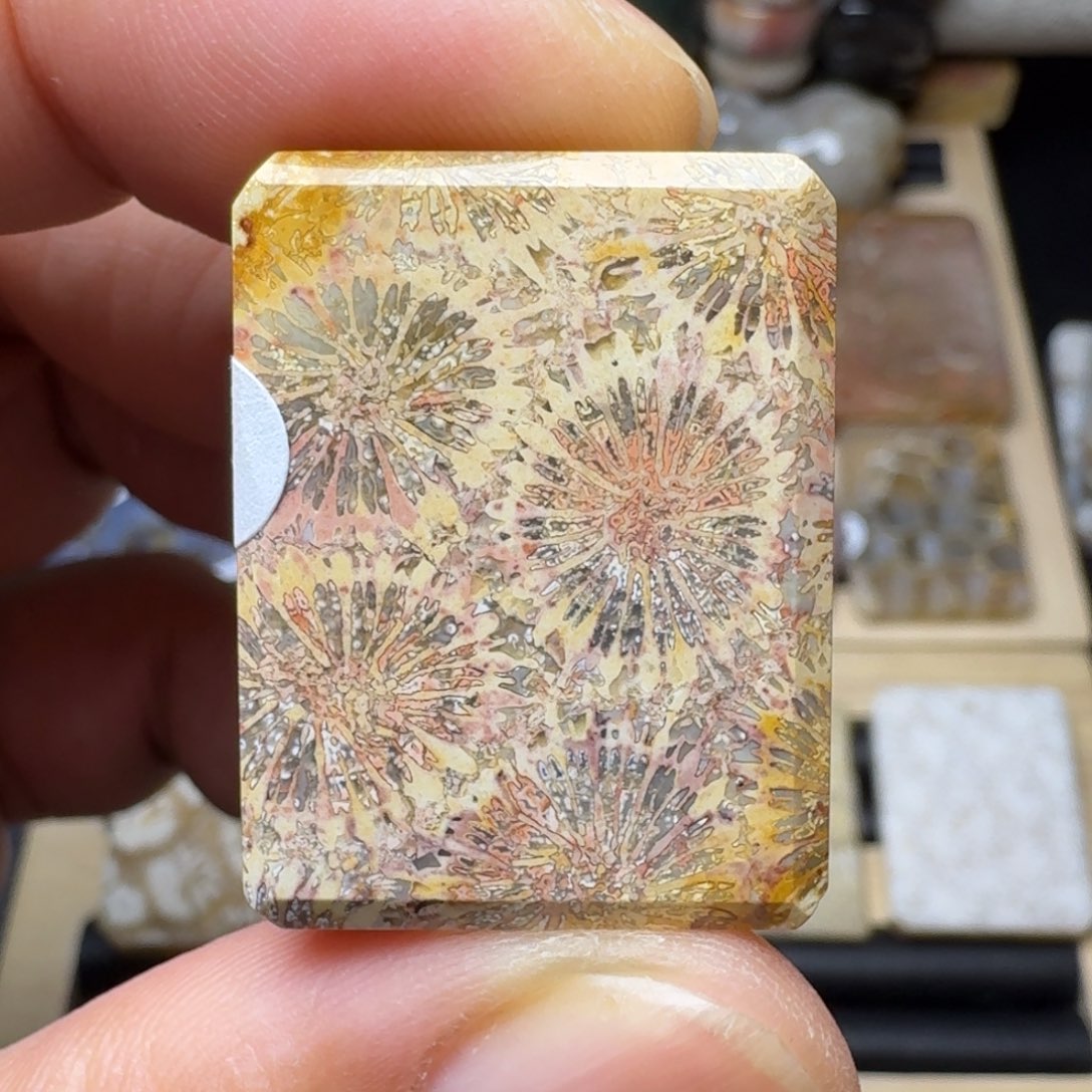 硅化玉未镶嵌纯天然色有机玉石保真色