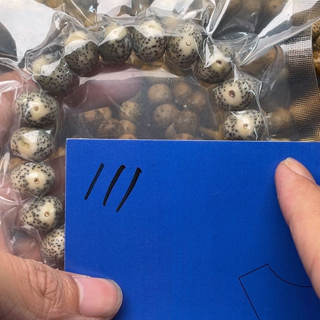 星月菩提手串111 号星月菩提手串