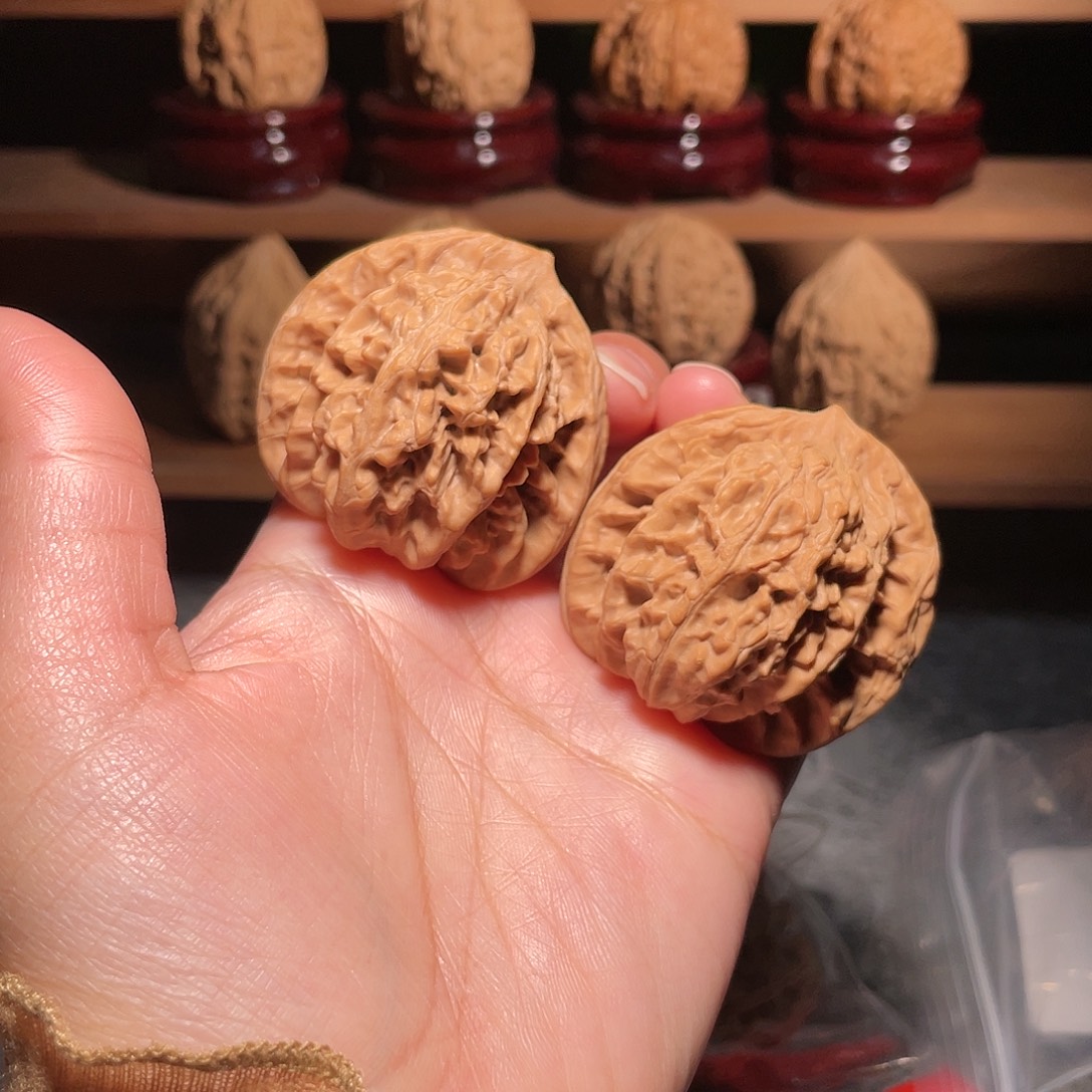 鹰嘴全品油蜡皮43