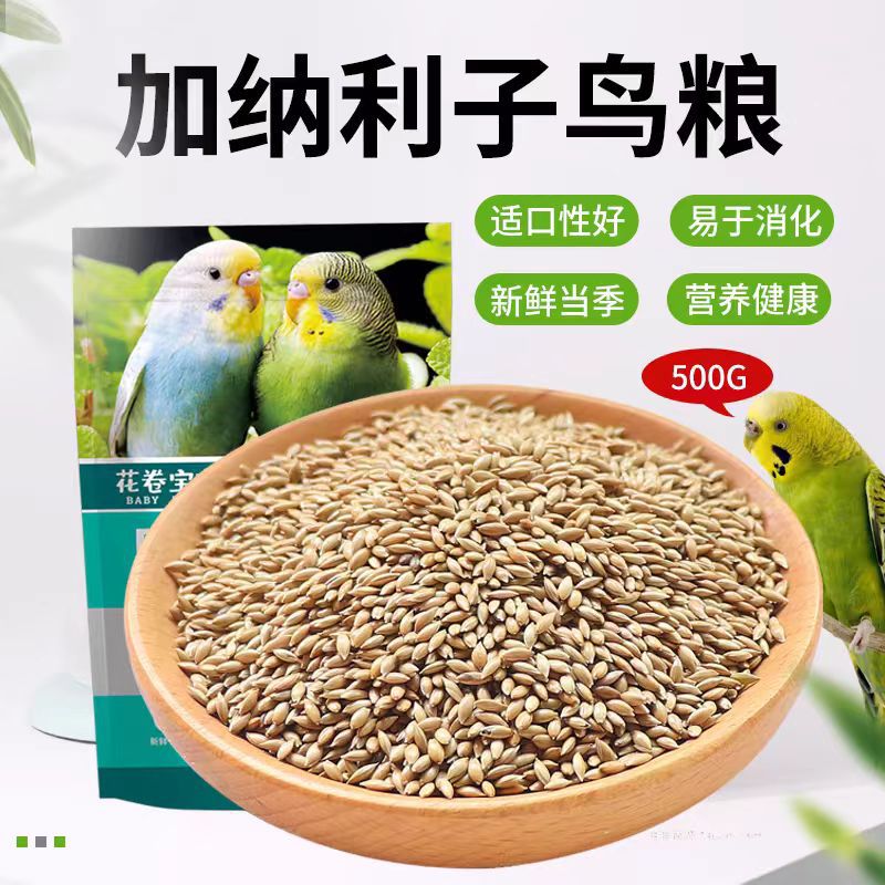 加纳利子鸟食鹦鹉鸟粮饲料虎皮玄风牡丹白尖金丝雀芙蓉黄雀草籽