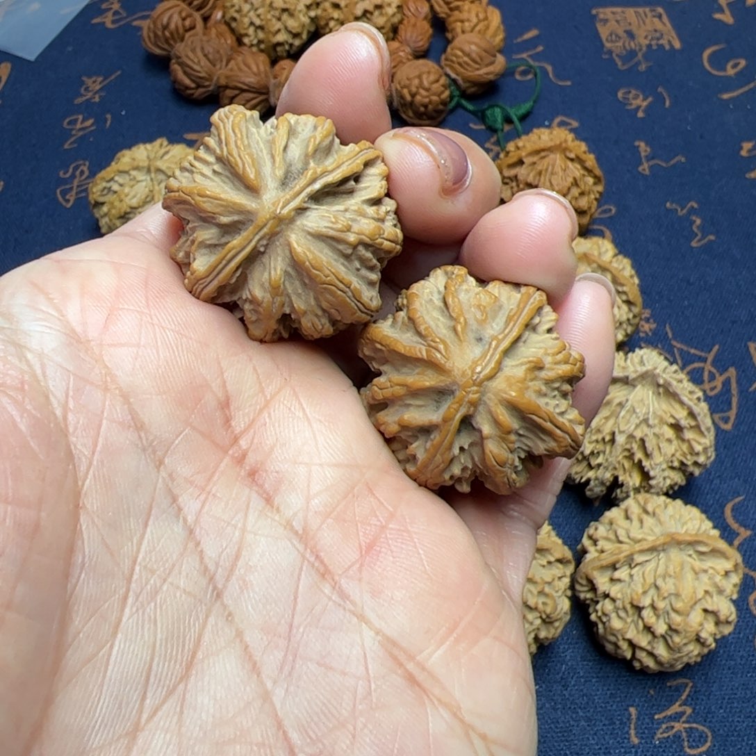 文玩核桃把件秦岭野生植物核桃