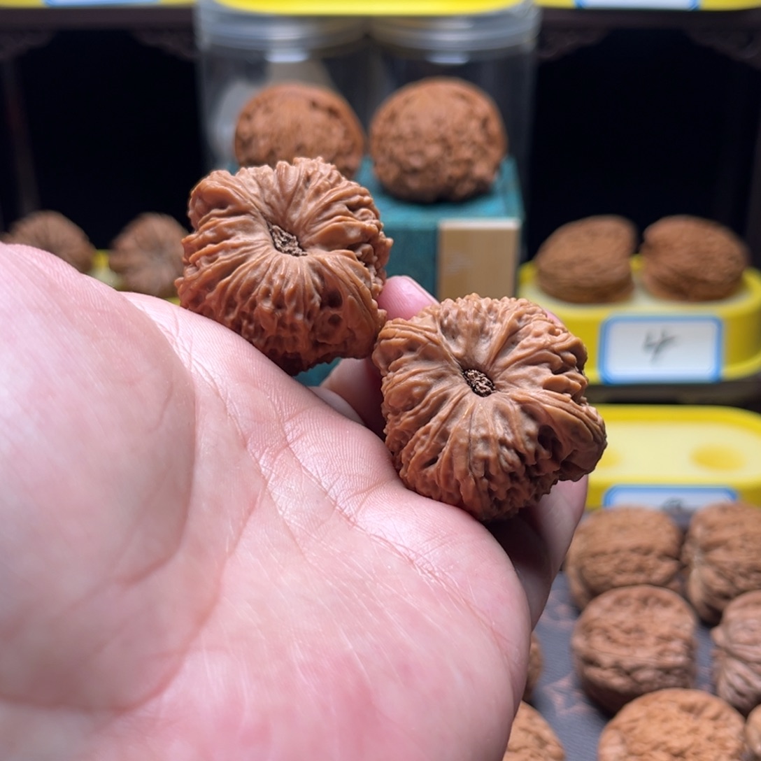 把件文玩核桃余*森团子