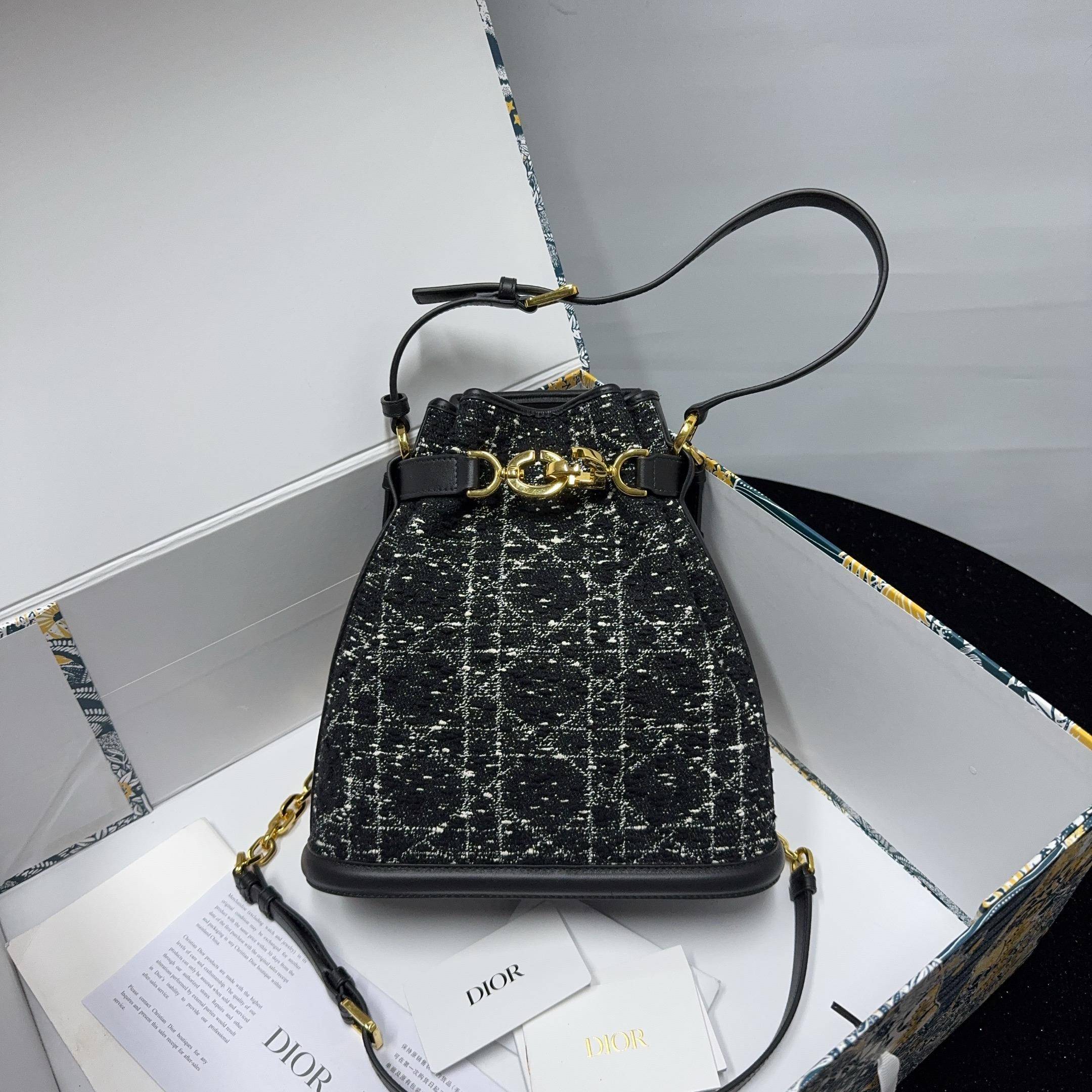 胖虎熙少/迪奥/95新/公价0/箱包/两用包/31T2501290052