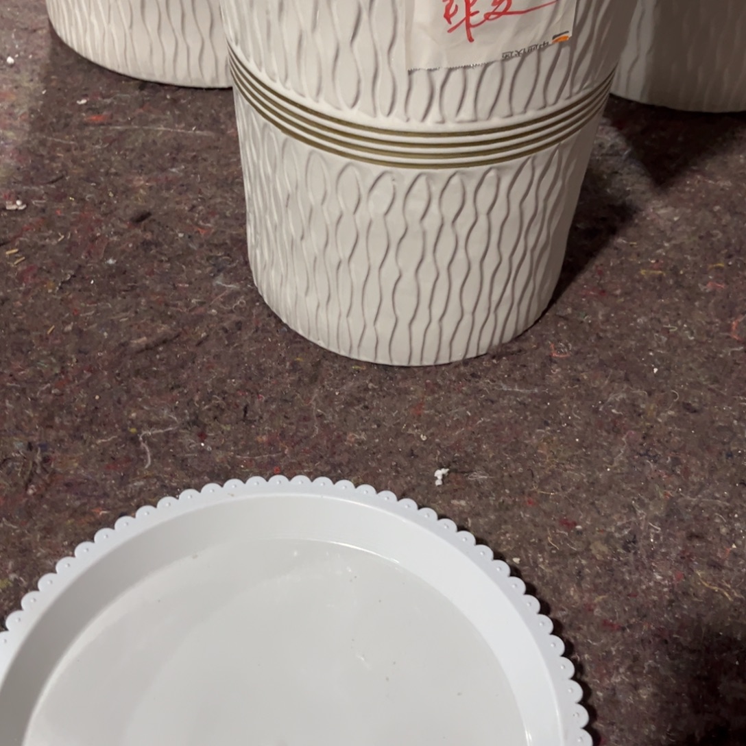 金线小蛮腰一个小号