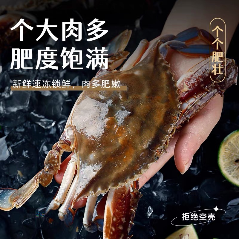 慧正宗舟山梭子蟹 母蟹4-2两/只 3.5斤/箱【冻蟹】顺丰冷链送货上门