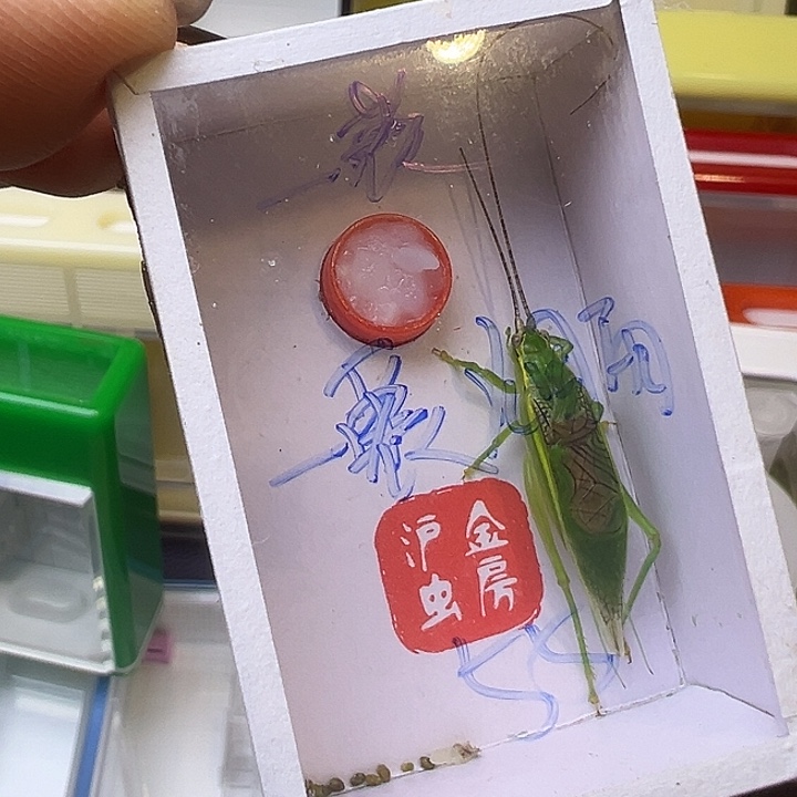 一***雨哈哈哈哈哈哈哈哈哈哈