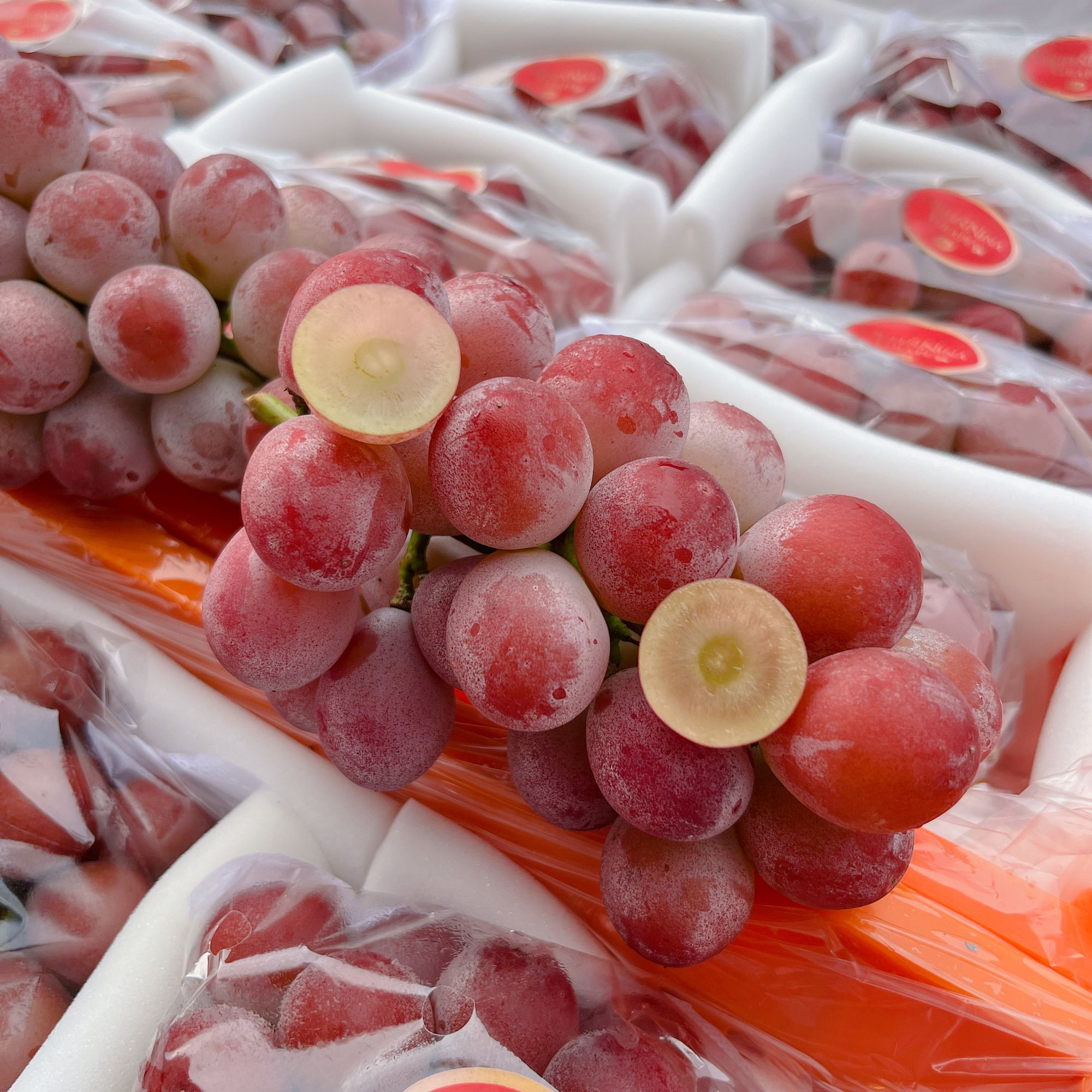 【张张优选 云南妮娜皇后葡萄】精品果 纯甜无籽 自然成熟 净果重量云南省