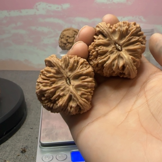 文玩核桃吊坠乐*核桃