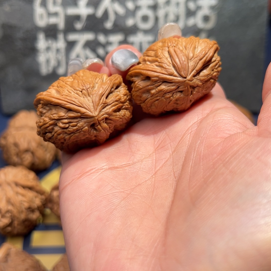 文玩核桃把件同胞天然蛇头37全品