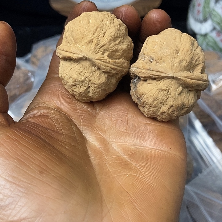 把件文玩核桃云南铁核桃基地37