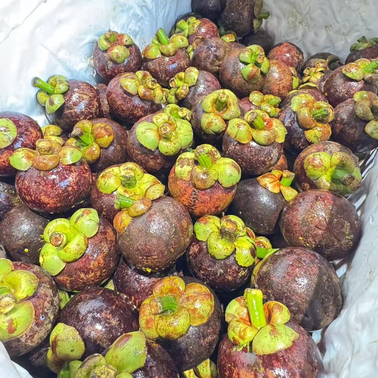 泰国老树山竹5A果 一公斤