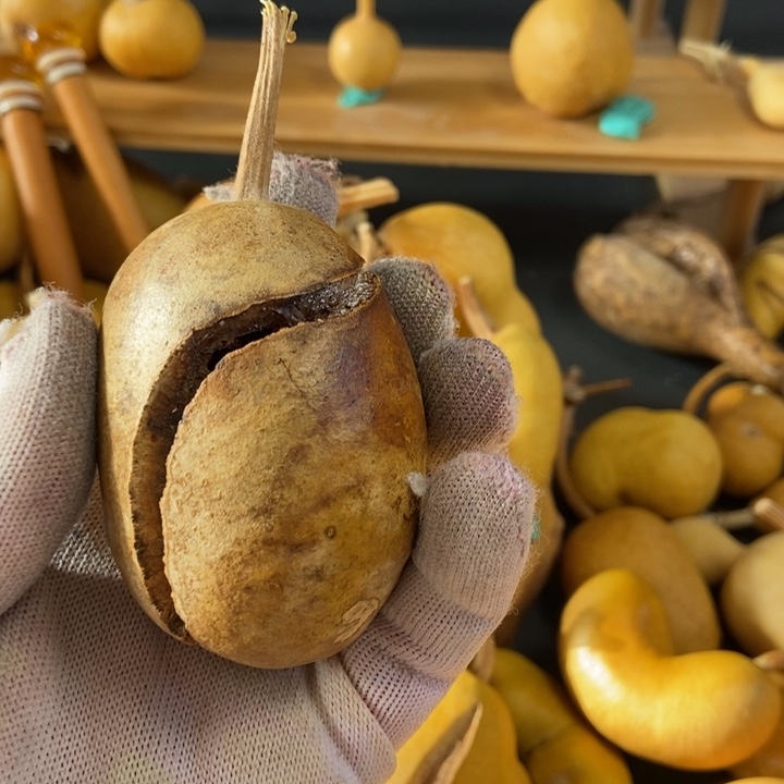 圆**圆葫芦葫芦真的