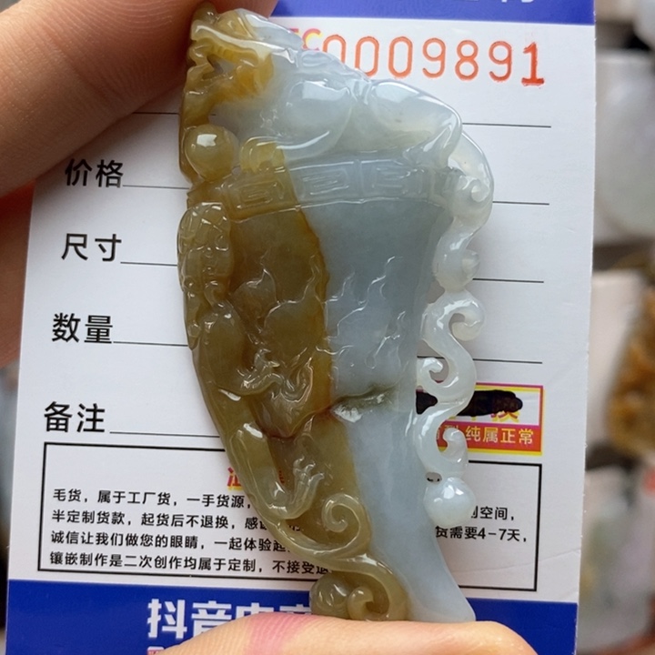 翡翠颈饰未镶嵌每天