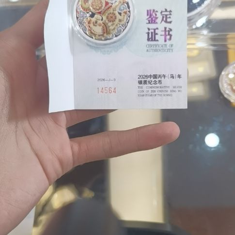 纯银银马纪念币银币