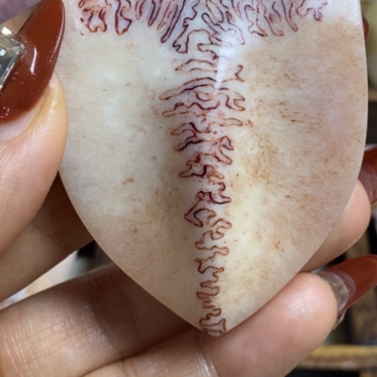 听***）鹿骨手串/手链养殖鹿鹿三界手把件