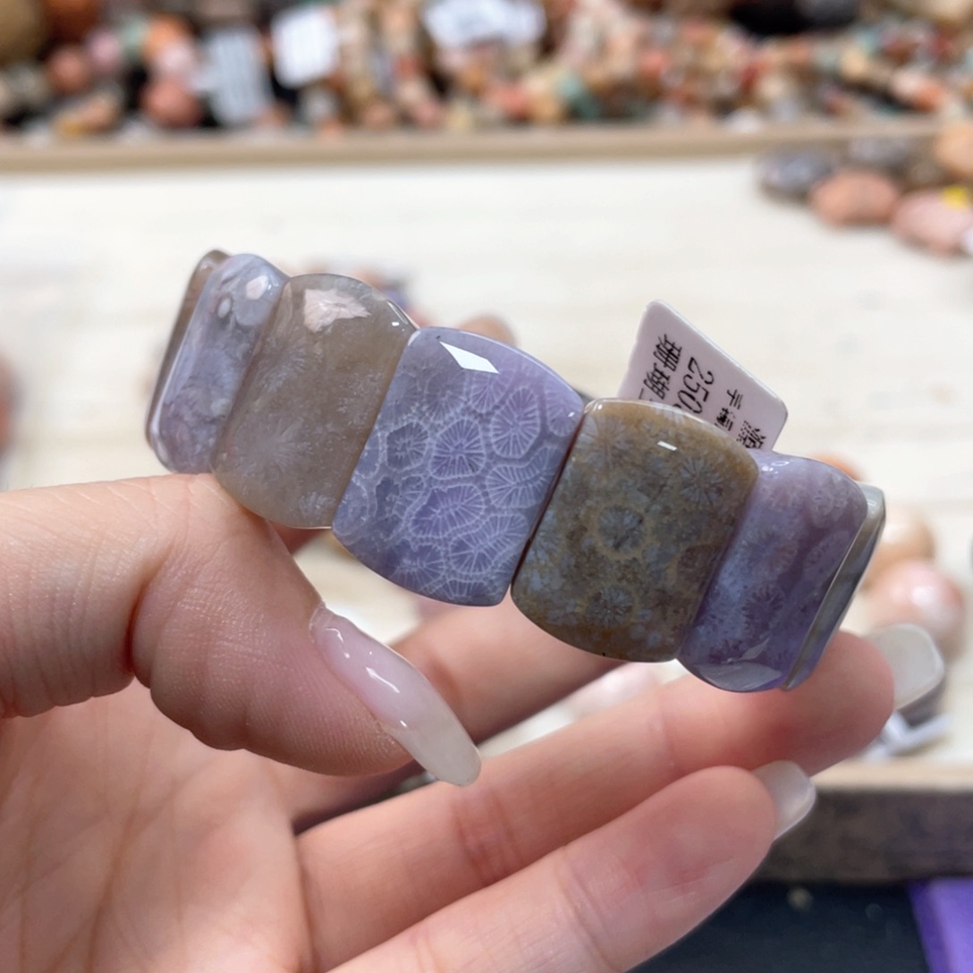 硅化珊瑚（珊瑚玉）手链未镶嵌?****?088