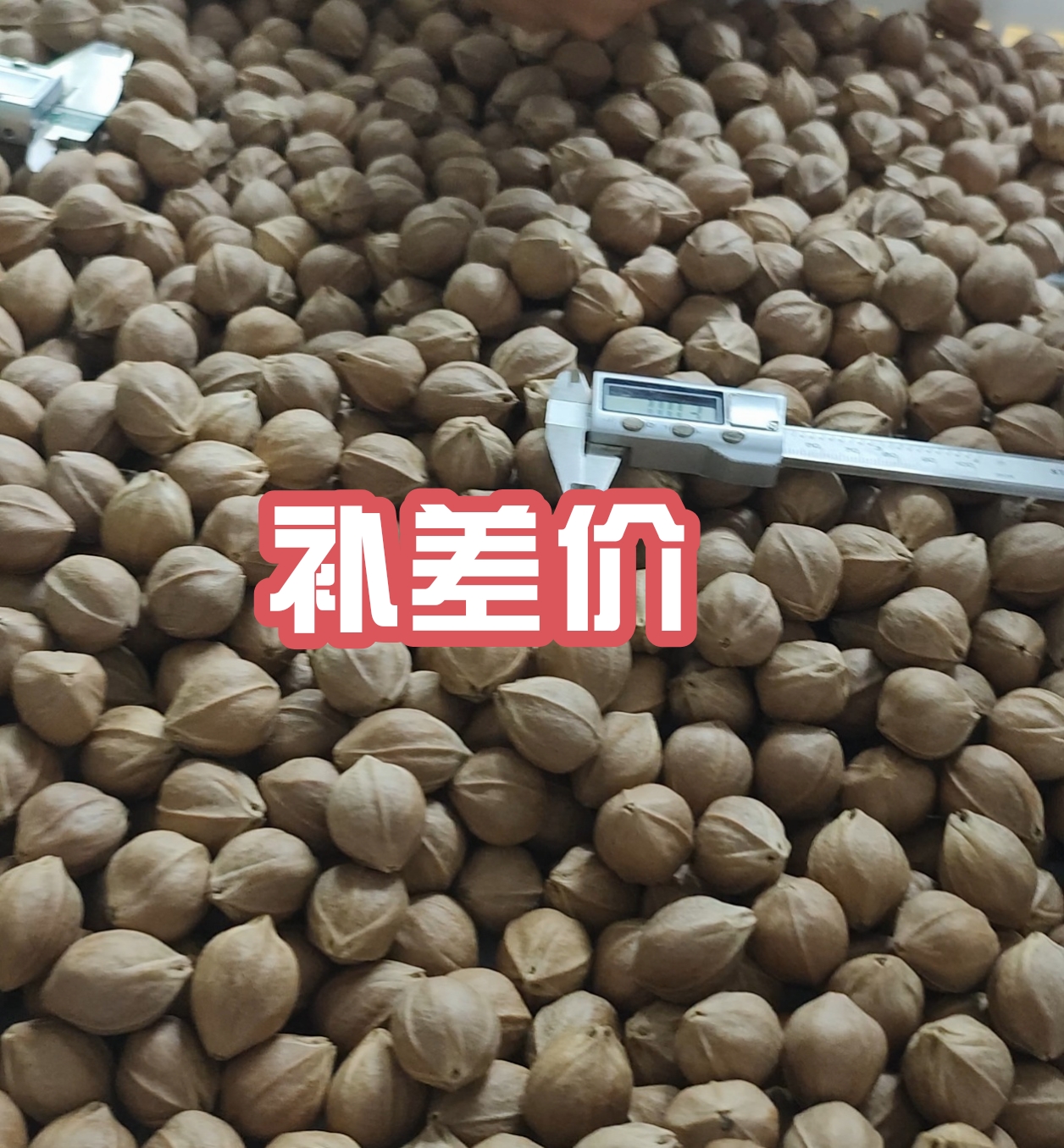 【唯心】梅林铁核橄榄核直播间