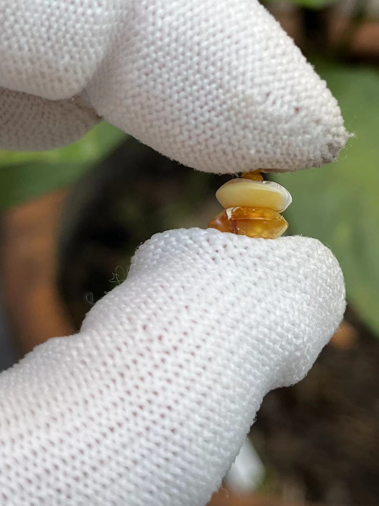 3548天然蜜蜡琥珀飞碟隔片配饰8mm