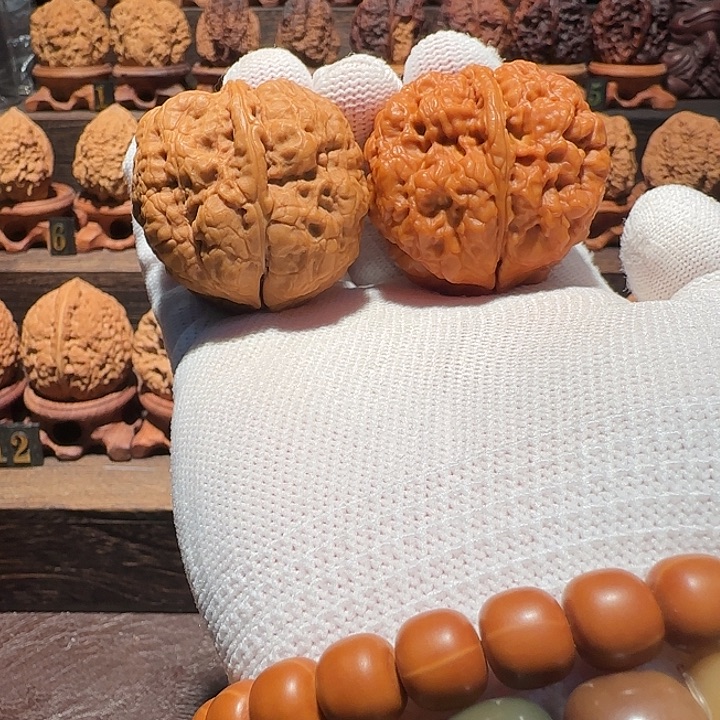 核桃老树九五蟾王伪三棱42尺