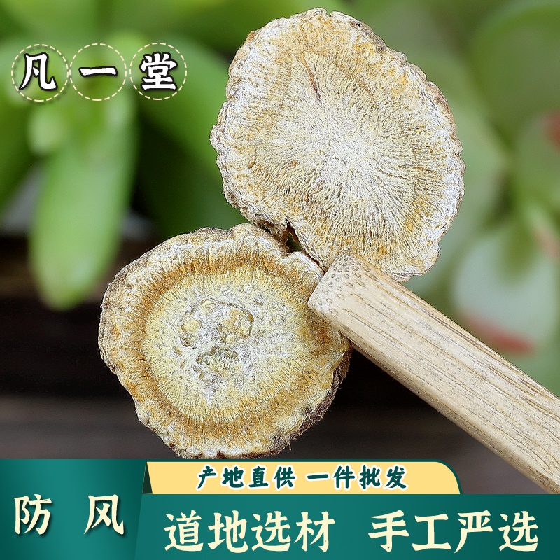 防风 防风 关防风北防风 防风 搭白术
