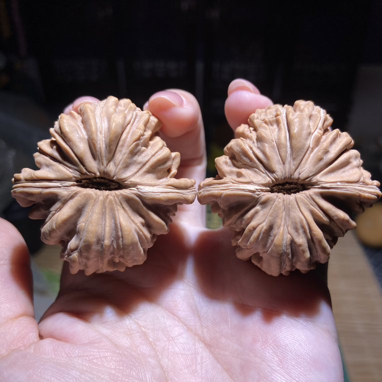 四座楼狮子头文玩核桃满肉菊花底精选手把件 44边44肚36高