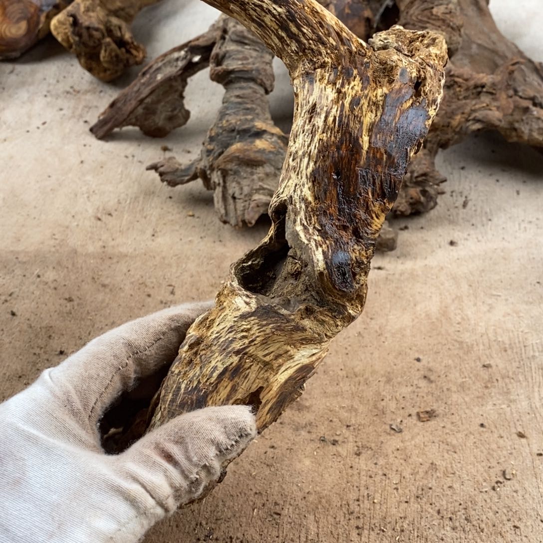 石***黄花梨/降香黄檀降香黄檀黄花梨