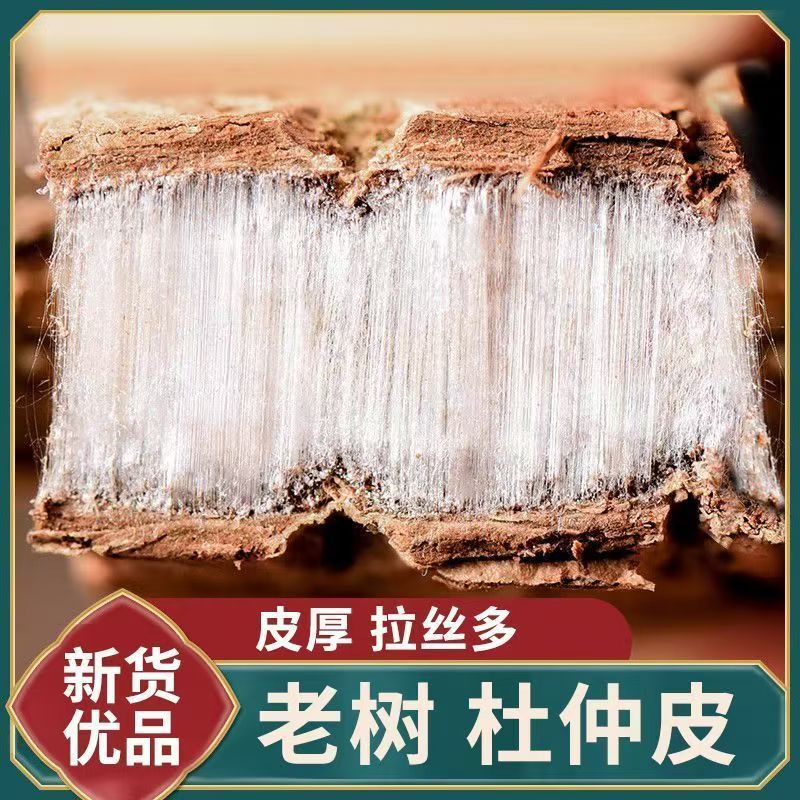 秦岭老树厚皮杜仲中药材野生杜仲皮可煲汤泡水泡酒