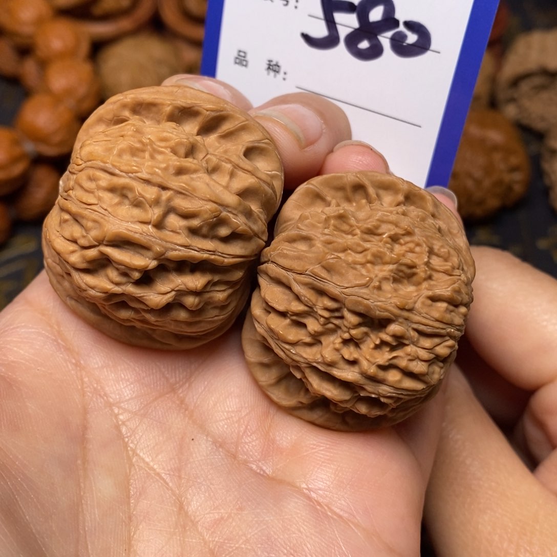 文玩核桃把件缘*磨盘全品40。 580
