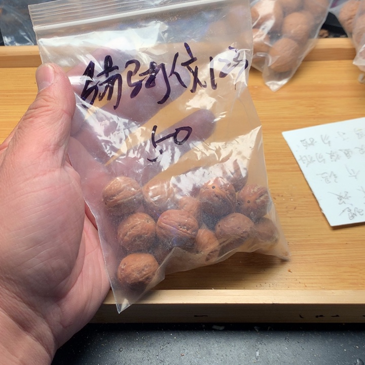 骑***3文玩核桃吊坠野生精品小核桃散籽