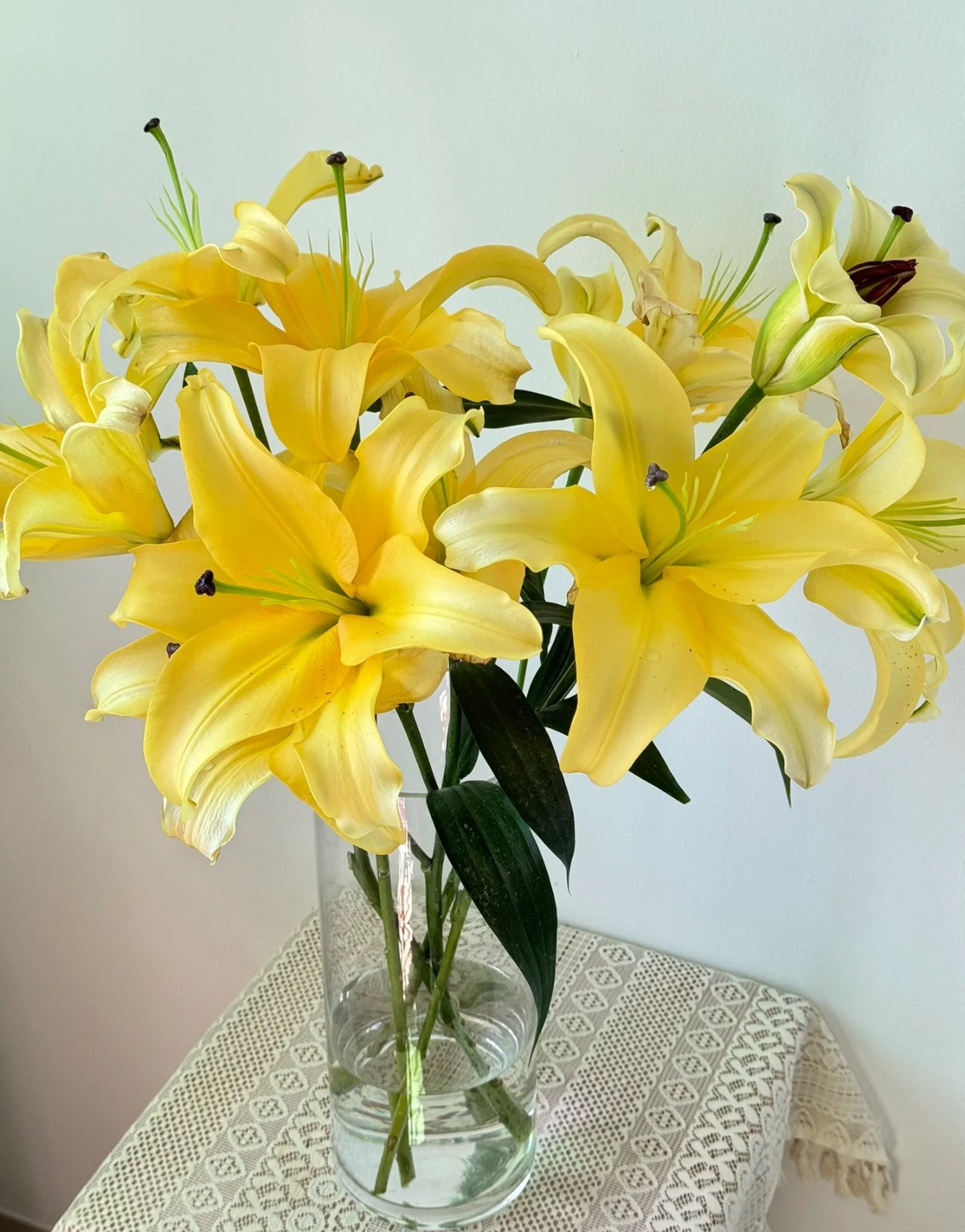 黄天霸百合 云南昆明基地直发  香水百合 