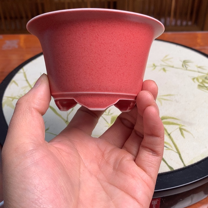 开播款福利价58十公分