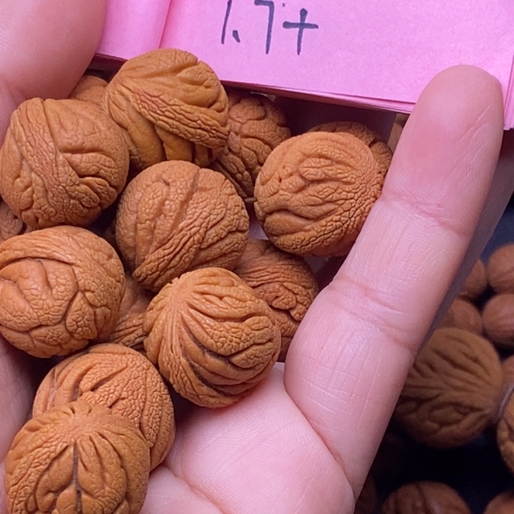 秦岭龙纹桃核15颗