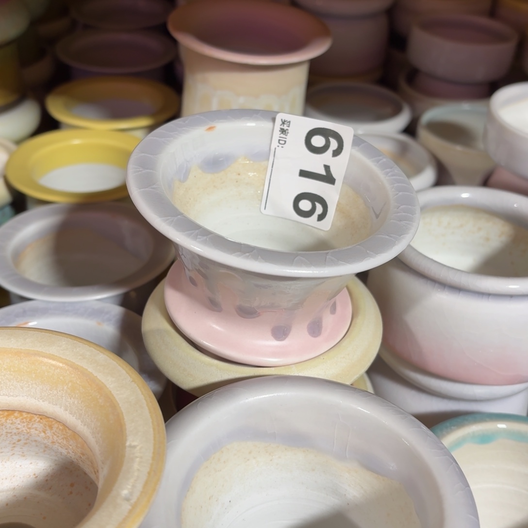 范***丽景德镇多肉花盆616