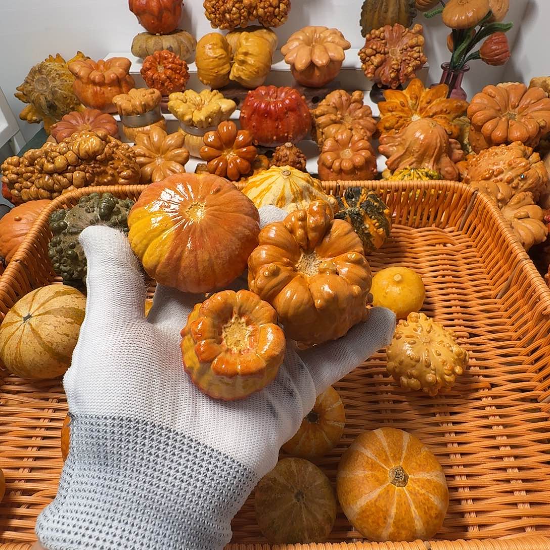 葵***衣墨西哥葫芦瑕疵不退换