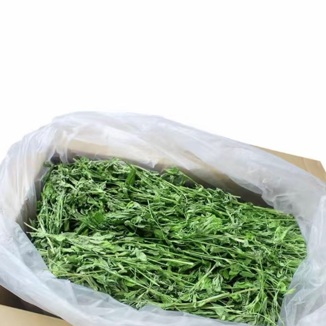 今年新烘干苜蓿草紫花苜蓿草龙猫牧草兔饲料兔干草