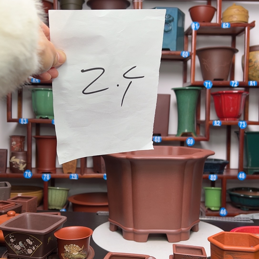 紫砂花盆墨*哥紫砂花盆