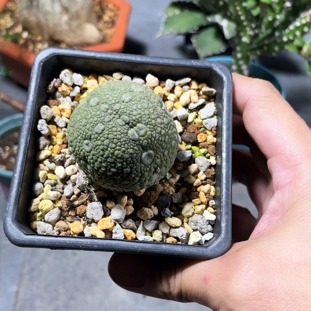 得***66666666666666666