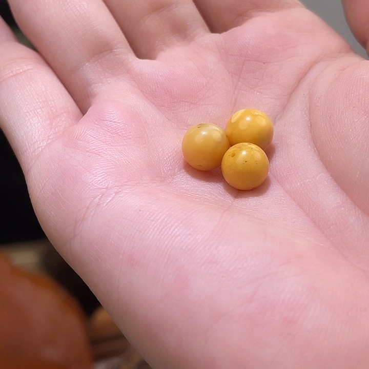 琥珀未镶嵌珠宝奇石小*糕