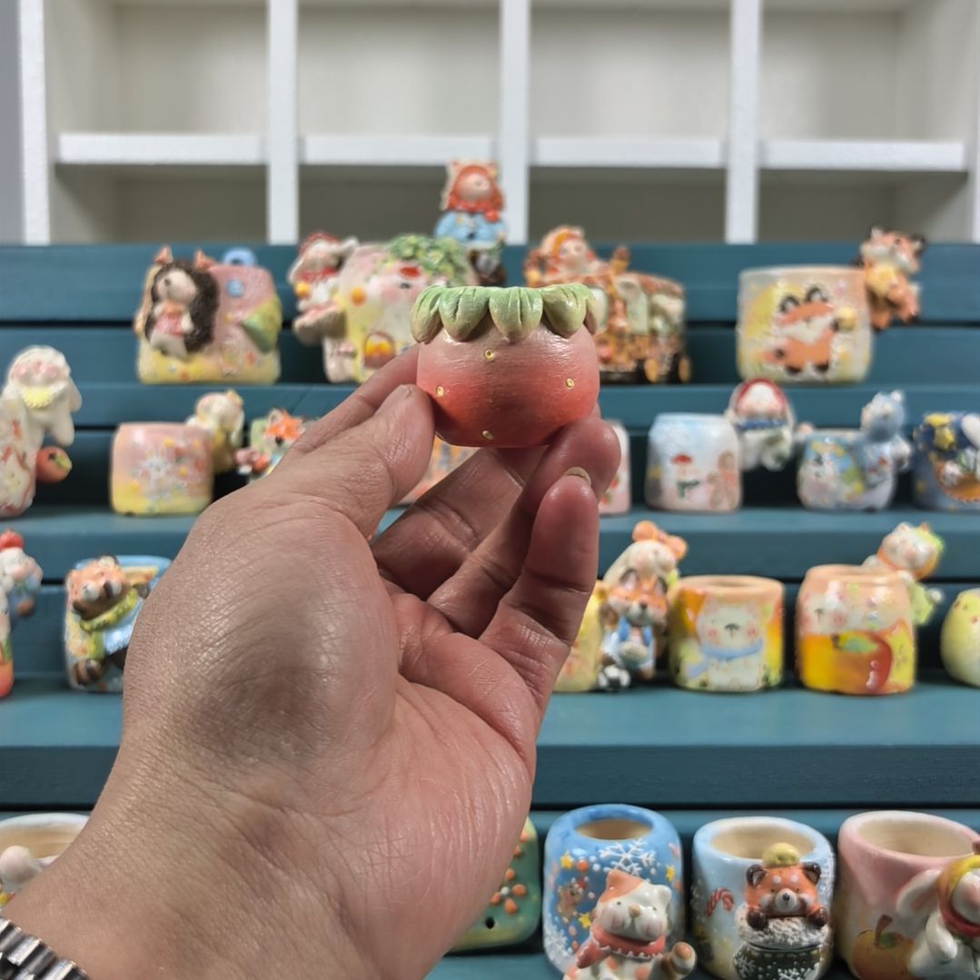 土***块福利 草莓 手绘多肉花盆
