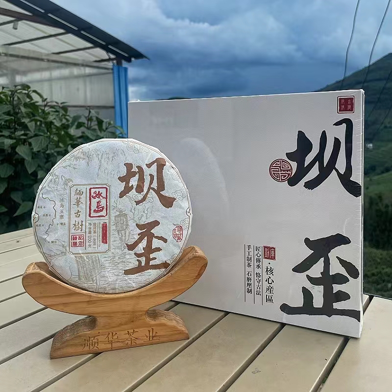缅华古树冰岛坝歪2024年春茶古树头春头采生茶紧压茶200g礼盒装