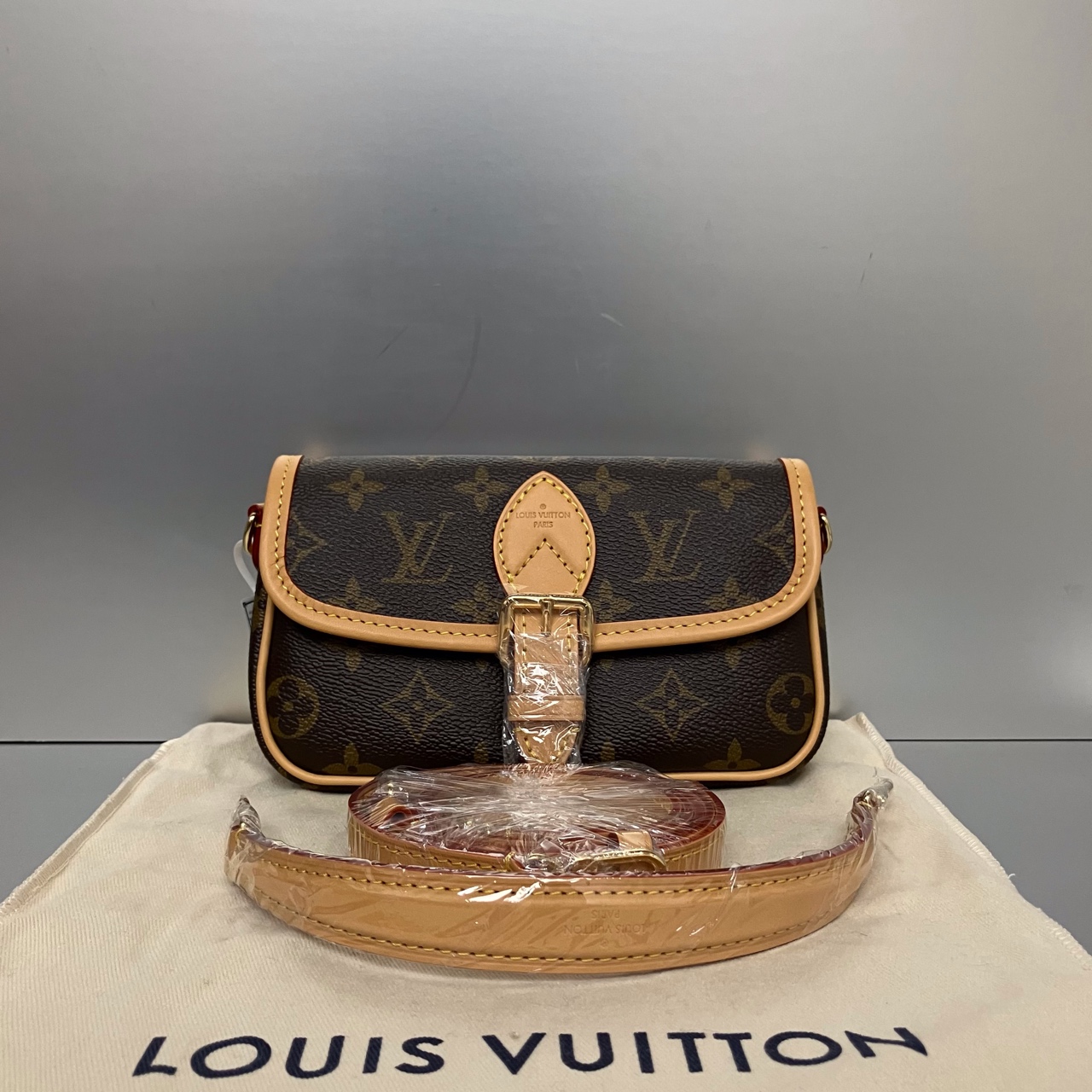 99新 LouisVuitton/路易威登 LV法棍nano 闲置