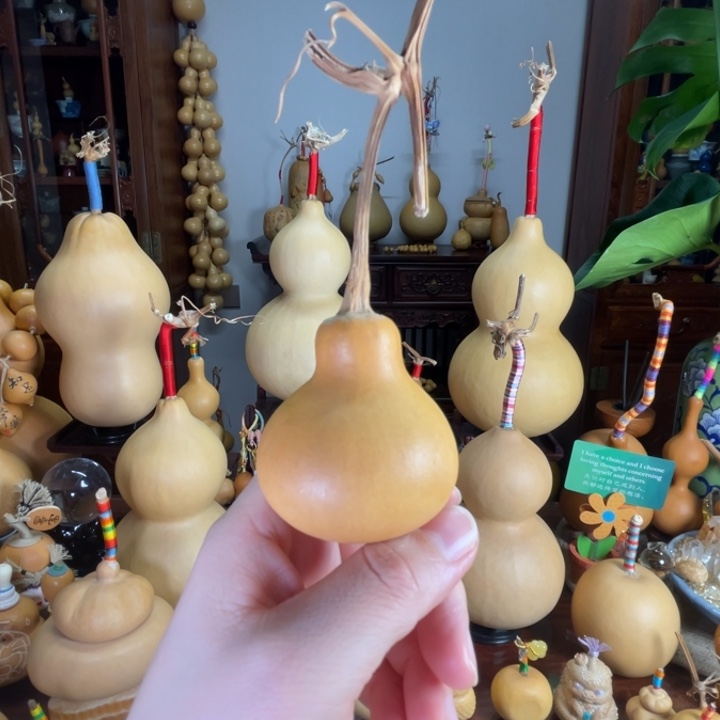 实心厚皮葫芦厉害宝宝
