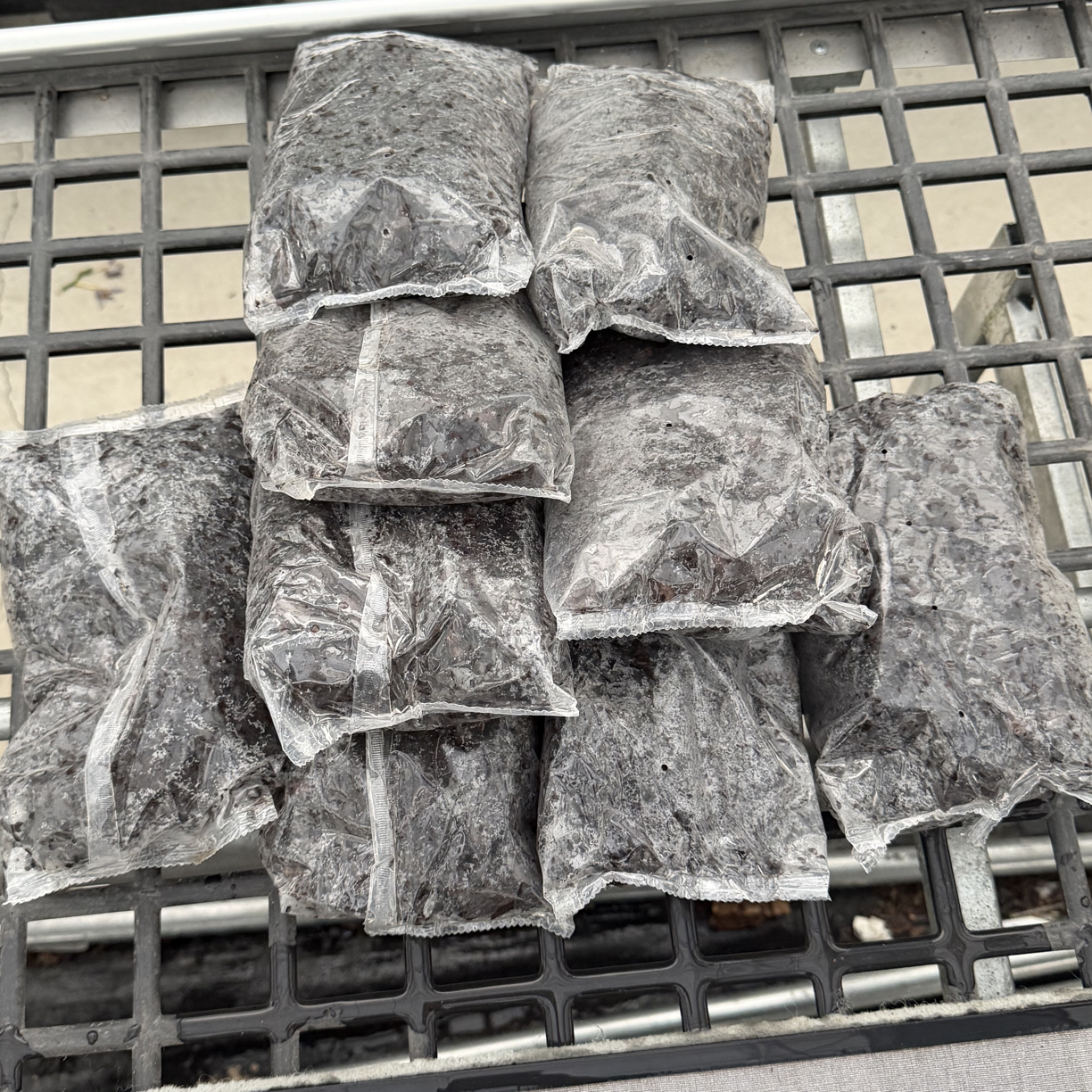 新西兰进口1包树皮